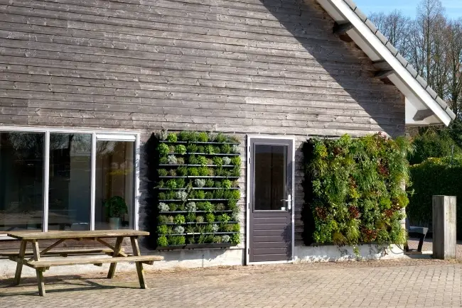 Aanleg verticale tuin