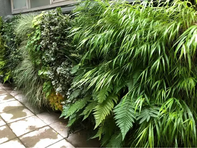 nextgen-living-wall-23