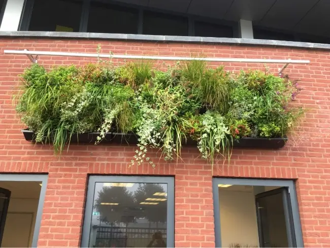 nextgen-living-wall-54