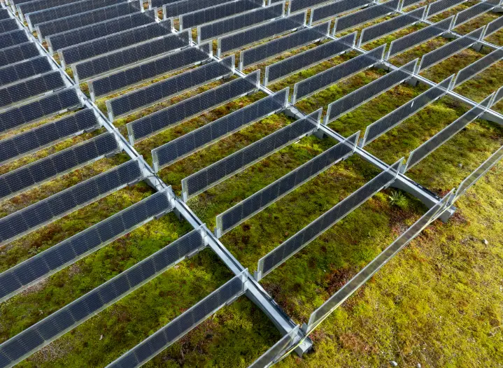 Groendak met zonnepanelen 3